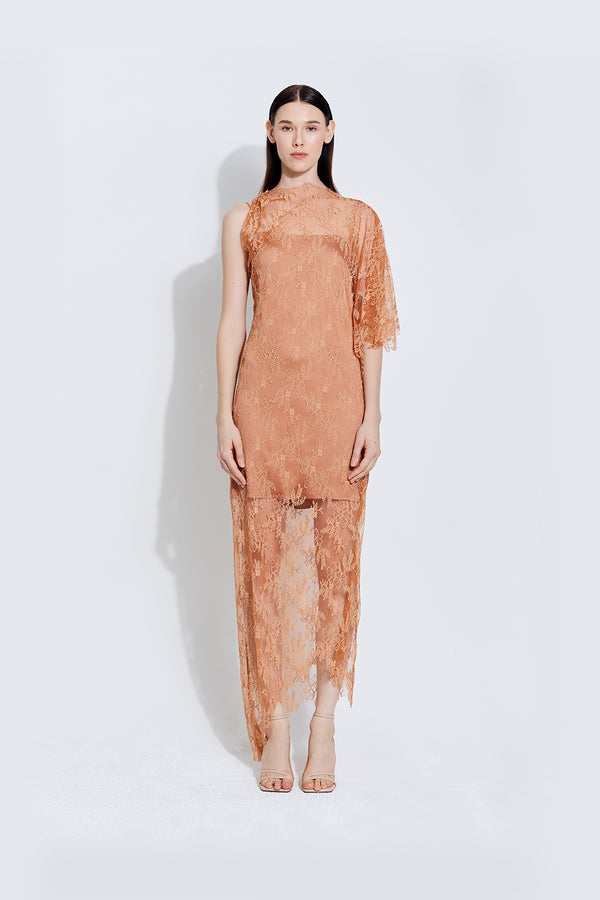 Sinara Blush Lace Dress